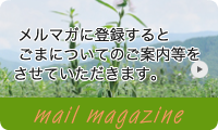 黒ごま｜ごま生活｜メールマガジン